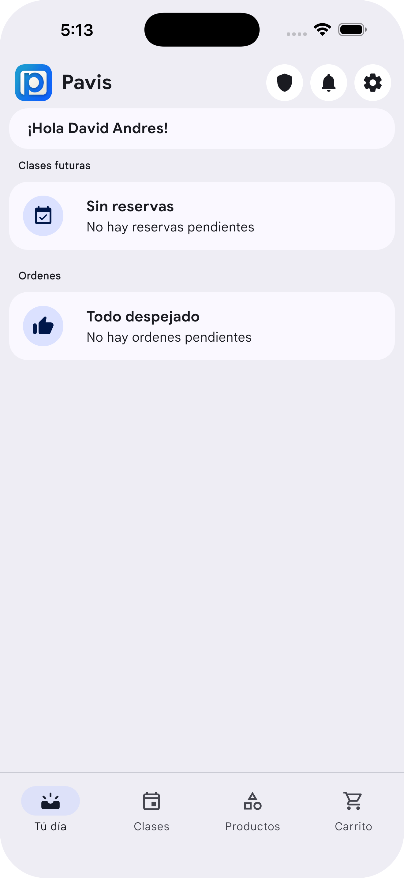 Pavis App Mockup